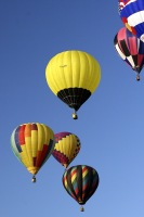 2005 Balloon Fiesta
Albuquerque, NM