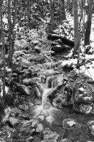 Frozen Cascade GSMNP