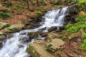 Fort Mountain Falls #1