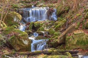 Unnamed Falls, Frozen Head SP