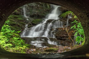 Buck BranchTributary to Tellico River