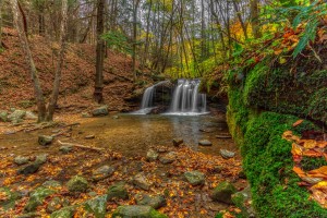 DeBord Falls