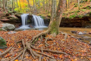 DeBord Falls