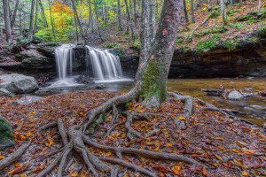 DeBord Falls