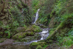 Black Forest Waterfall