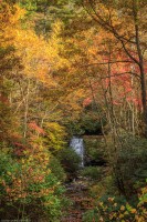 Meigs Falls, GSMNP