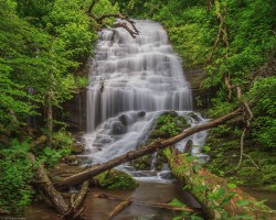 Crooked Arm Falls, GSMNP