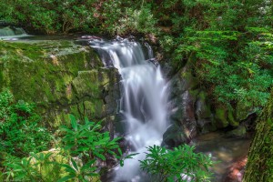 Cascades and falls on the Meadow Branch of North River in the Cherokee National Forest