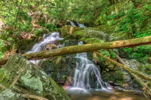 Lower Spruce Flats Falls, GSMNP