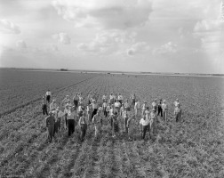 Altus-OK-Group-in-Finlin-Onion-Field-Jul-7-1948-001