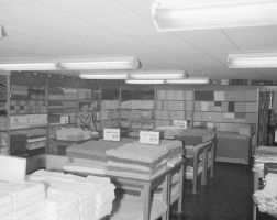 Anthonys-Store-Towels-Mar-30-1951-001