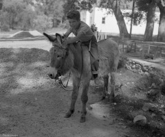 Boys-Ranch-Boy-Burro-May-22-1949-001