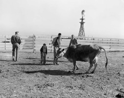 C-T-Gusemans-Dinner-at-Ranch-Nov-20-1948-005