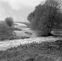 Creek-on-the-Rise-May-8-1949-001