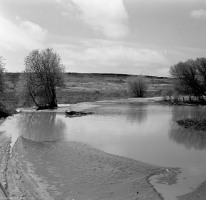 Creek-on-the-Rise-May-8-1949-003