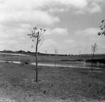 Creek-on-the-Rise-May-8-1949-004