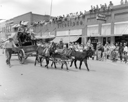 Donkeys-pulling-Wagon-Hereford-50th-Birthday-May-8-1948-001