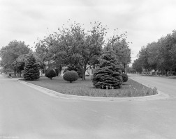 Flower-Show-Outside-Flower-Gregg-Park-1951-05-22